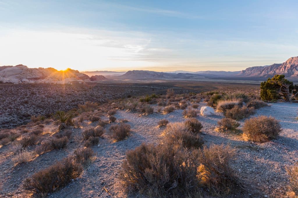 Albuquerque-New-Mexico