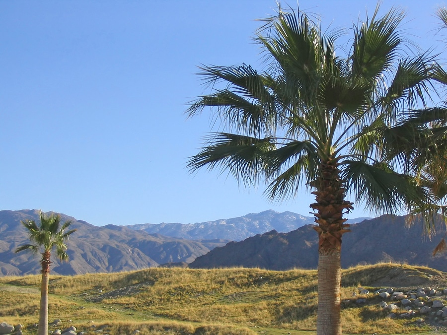 palm springs-california-travel healthcare jobs jan 14