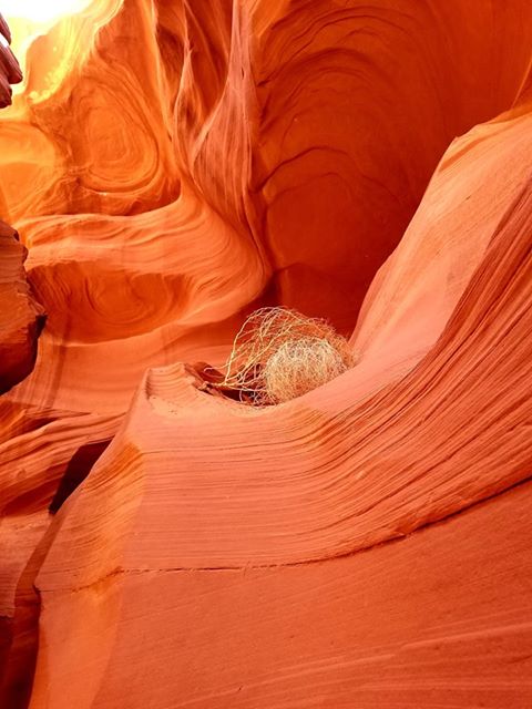 RN, Amanda M., taking in the sights at Antelope Canyon near Page, Ariz.