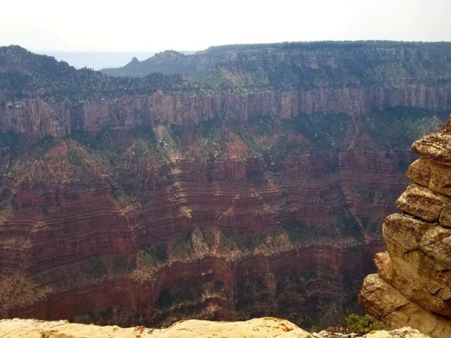 RN, Amanda M., taking in the sights at the Grand Canyon.
