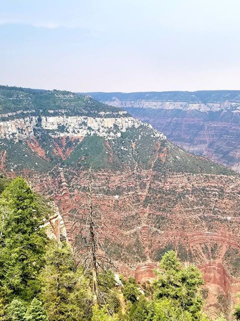 RN, Amanda M., taking in the sights at the Grand Canyon.