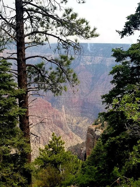 RN, Amanda M., taking in the sights at the Grand Canyon.