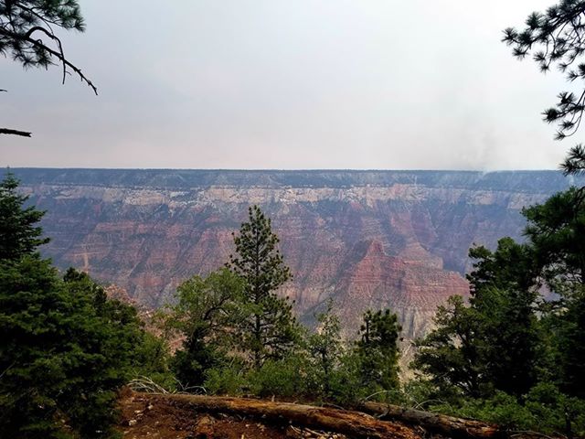 RN, Amanda M., taking in the sights at the Grand Canyon.