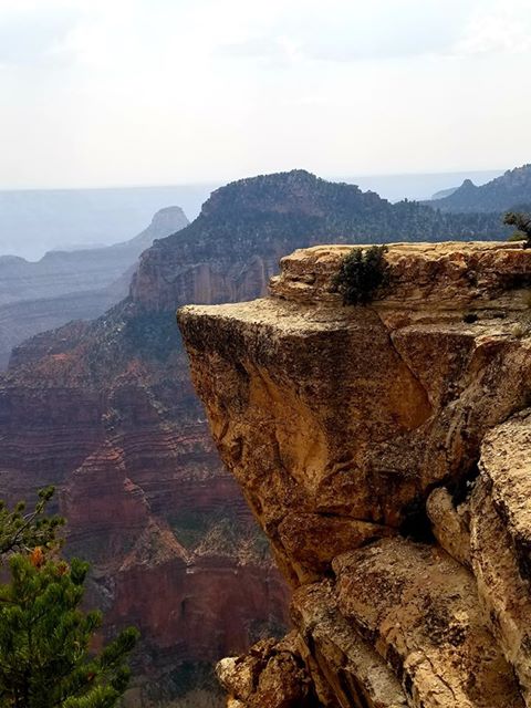 RN, Amanda M., taking in the sights at the Grand Canyon.