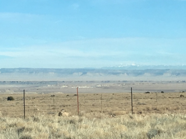 RN, Naomi B., shares photos of her adventures from Arizona and other parts of the U.S.